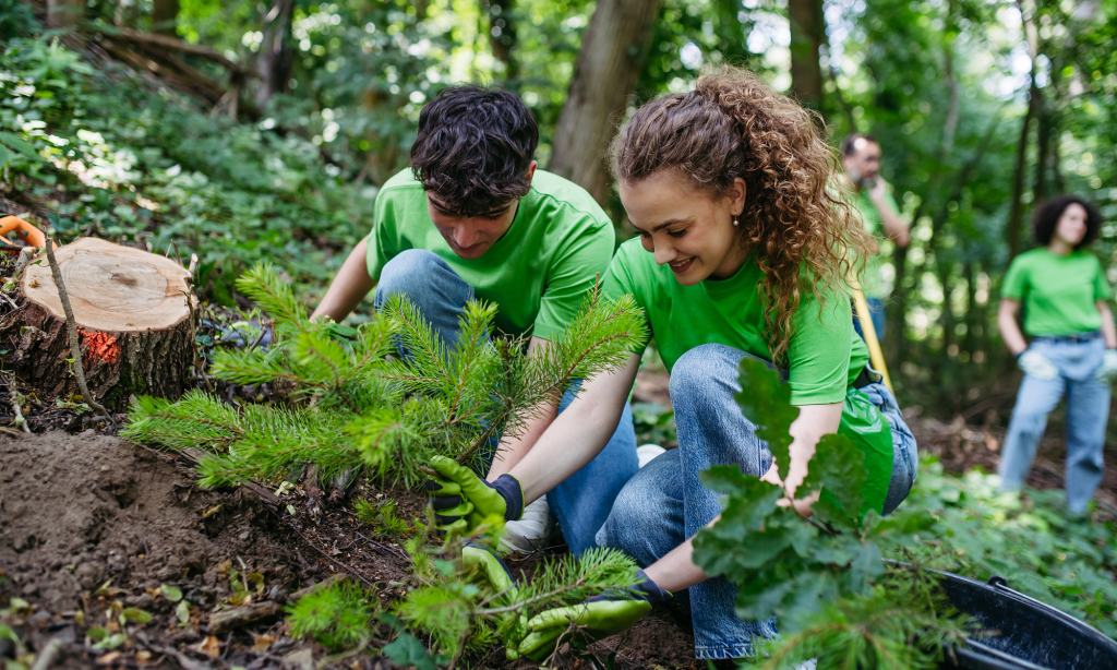 sustainability social responsibility