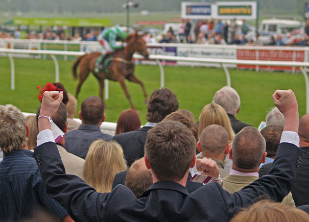 Melbourne cup racing image